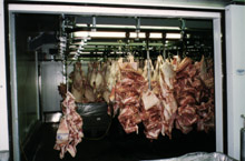 aeti0121.jpg (21085 bytes)