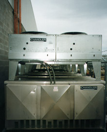 aeti0137.jpg (20681 bytes)