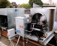 aeti0153.jpg (25195 bytes)